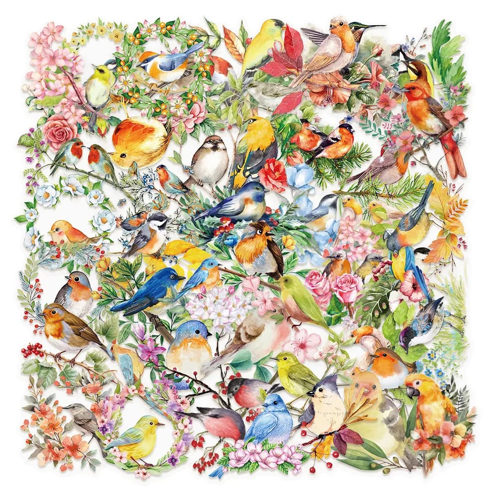 Confezione di adesivi per uccelli acquerello INS trasparenti da 50 pezzi, PET impermeabile per decorazioni per chitarra e notebook Scrapbooking