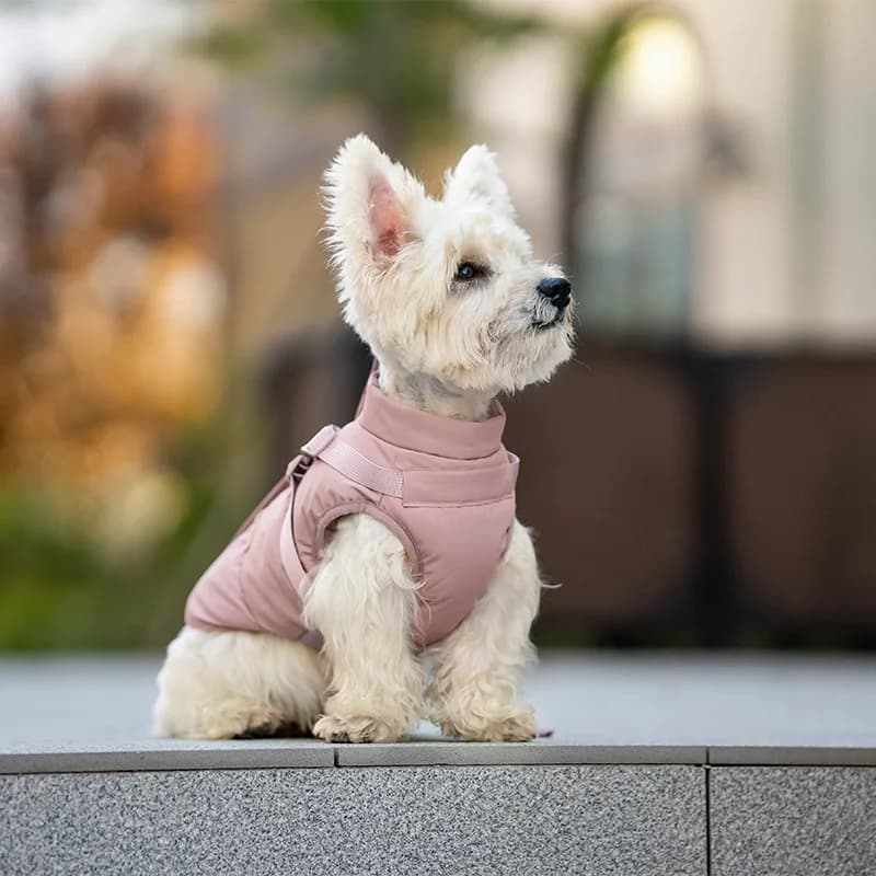 Cappotto per cani per cani di taglia media, giacca invernale impermeabile per cani con imbracatura Cappotti integrati per la stagione fredda del cucciolo Gilet riflettente per animali domestici