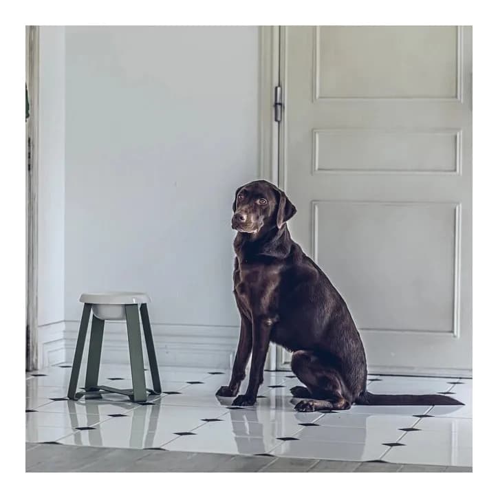 Altro alimentatore per prodotti salutari sollevati Piccolo supporto rialzato Accessorio per gatti Acqua in ceramica Ciotola per cibo per cani Fornitura di animali domestici