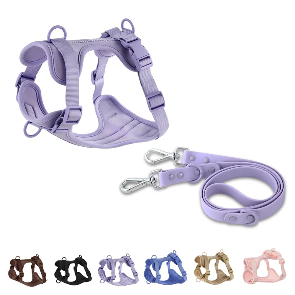 Guinzaglio doppio per cani in PVC, comodo e traspirante, set pettorina e guinzaglio regolabile, collari e pettorine.