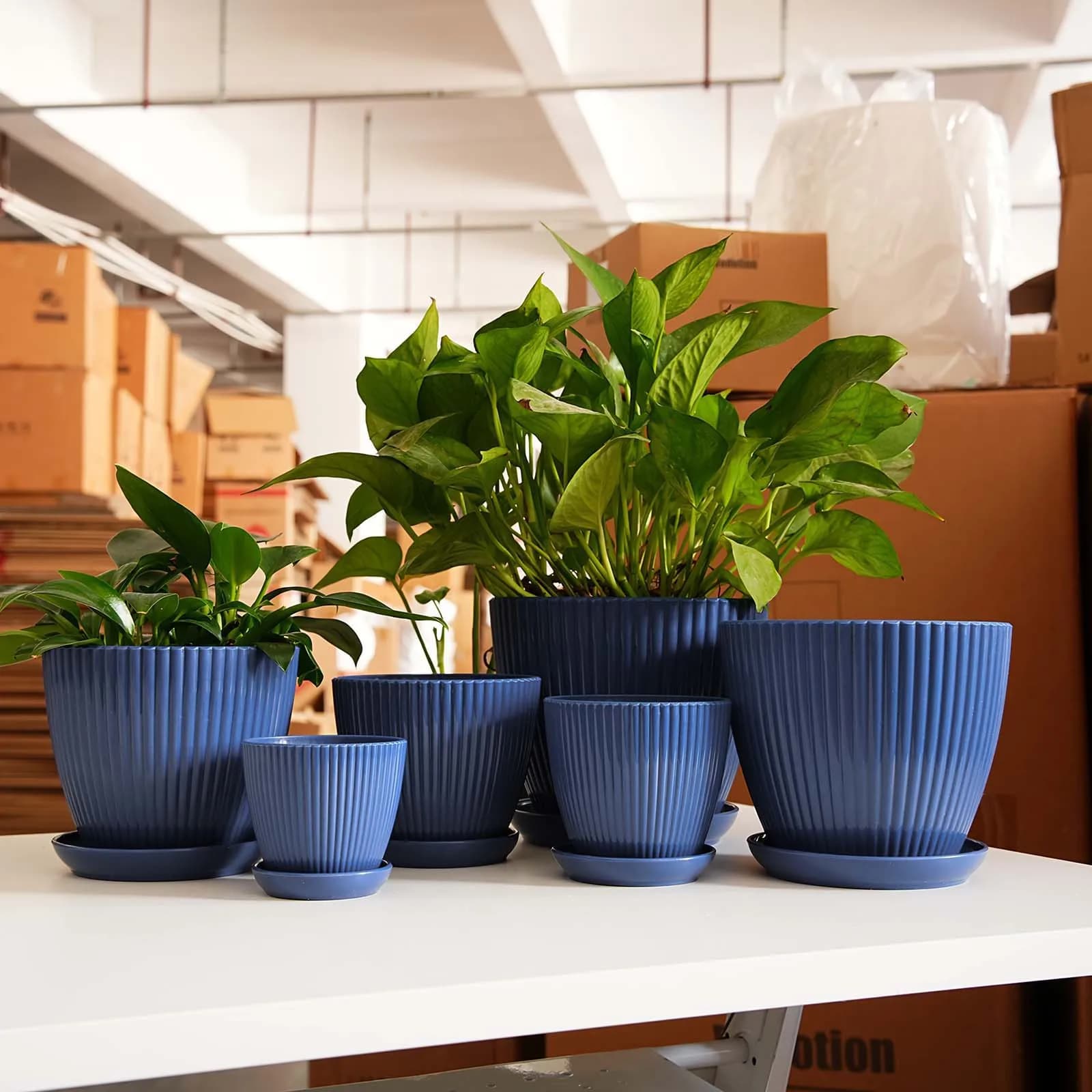 Flower vase with Vertical Motive, Reinforced Plastic Container with Indoor and Exterior Plants, Balcony, Garden, Home Decoration