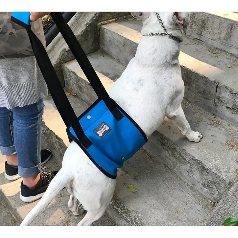 Imbracatura di supporto per animali domestici per cani anziani - Imbracatura regolabile per sollevamento cani per le gambe posteriori per aiutare le gambe deboli in piedi, strumento di assistenza aiutanti