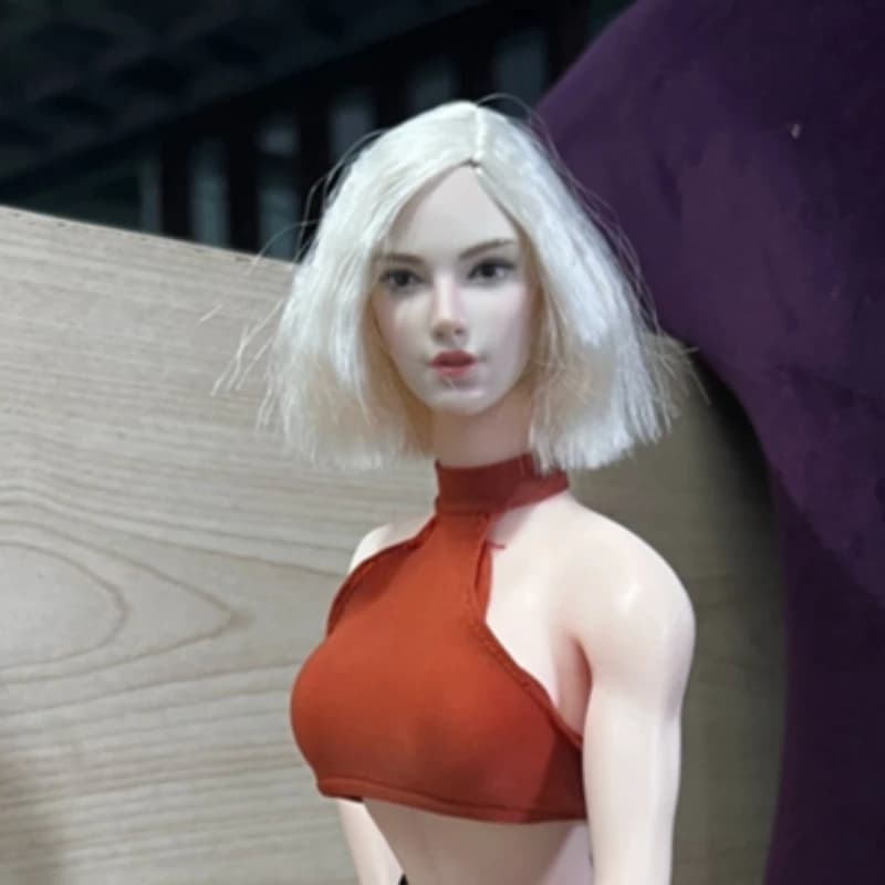 Super Duck SDH018 1/6 Europa Bellezza Ragazza Testa Sculpt Capelli Dorati/marroni Testa Intagliare per 12 ''Soldato Action Figure PH JIAOU bambola
