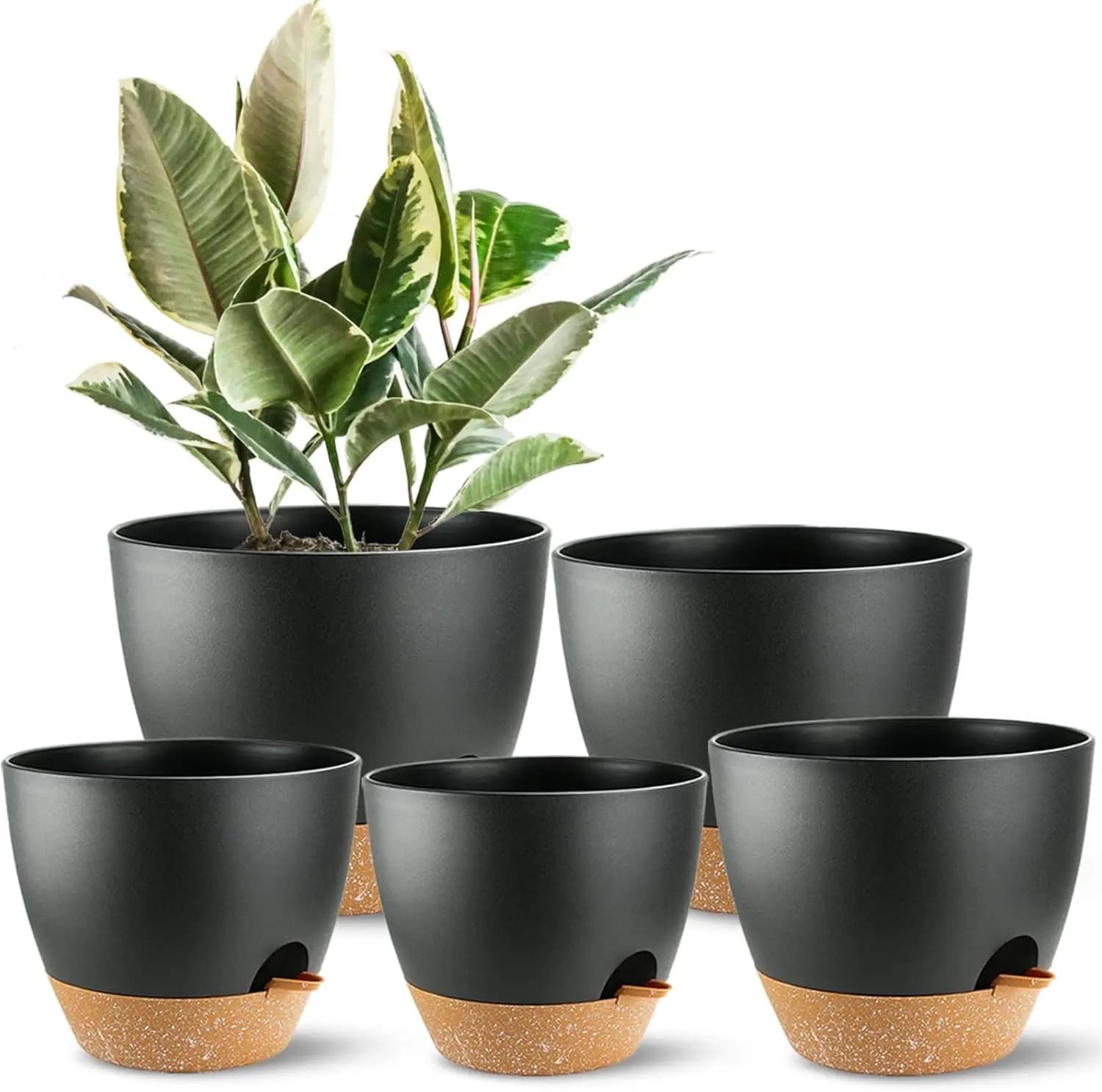Vasi Autoirriganti con Fori di Drenaggio, Set da 5 in Plastica Nera, per Piante Succulente da Interno ed Esterno