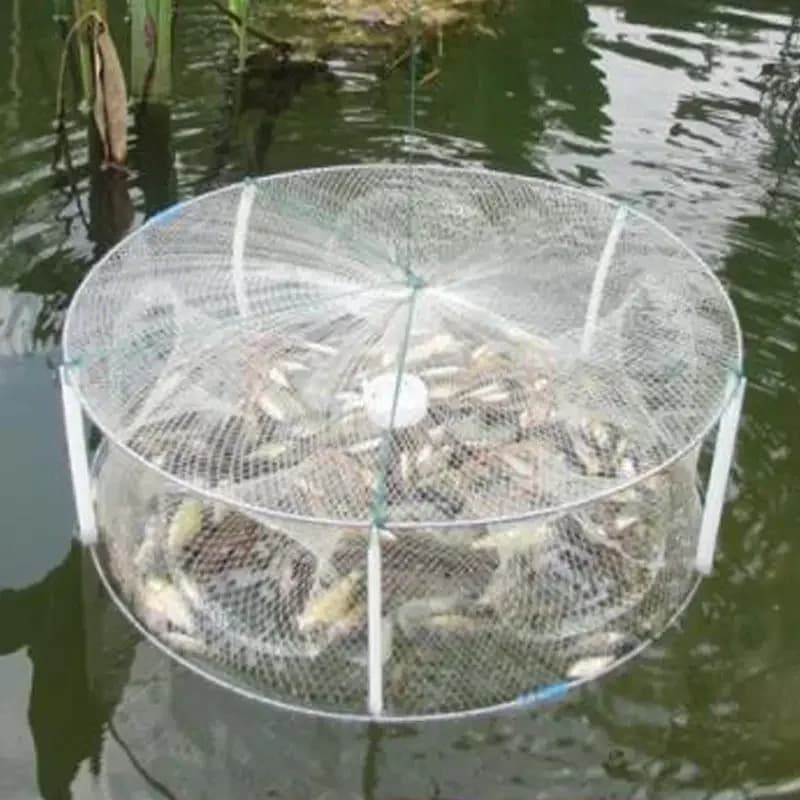 Rete da pesca Gabbia per gamberetti rotonda Rete da pesca per gamberetti Strumento da pesca pieghevole Cattura pesci Aragosta Rete da lancio a mano Gabbia per Loach