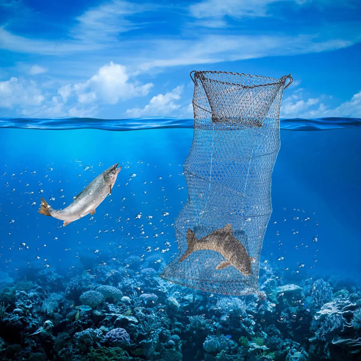 Rete da Pesca Telescopica Pieghevole a Tre Strati per Gamberi, Granchi, Aragoste, Gamberetti, Pesciolini e Gamberetti di Fiume - Rete Portatile per la Cattura di Insetti Acquatici