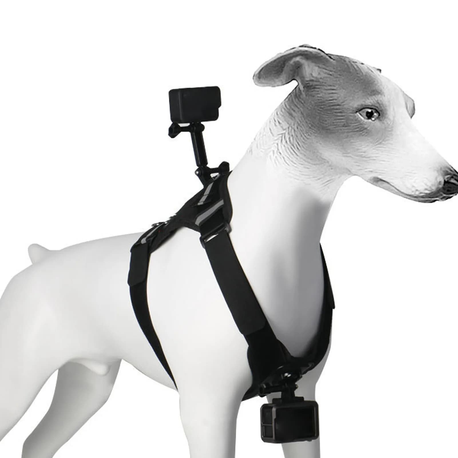 Supporto per imbracatura per cani per action camera Comodo imbracatura per cani in plastica di nylon Supporto per fotocamera Gilet Fissaggio per petto e schiena per la registrazione