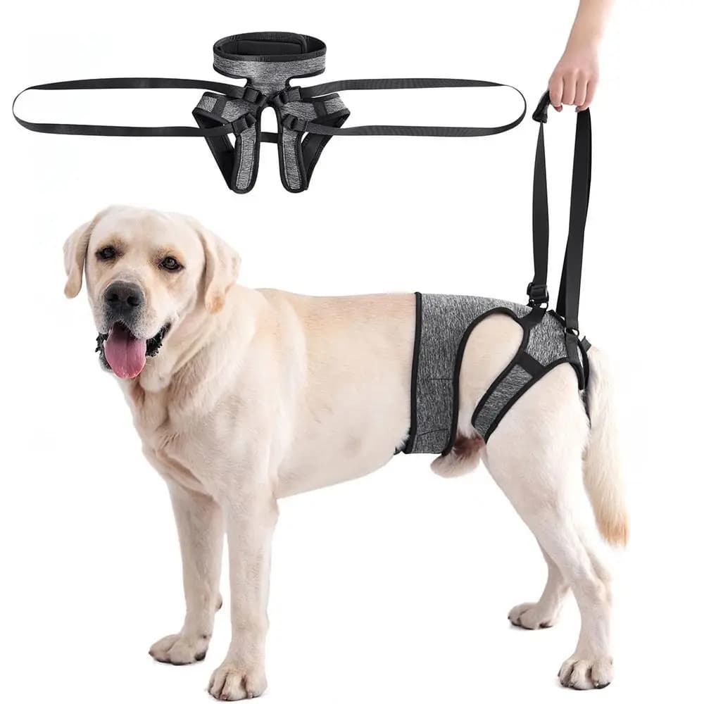Imbracatura Professionale Regolabile per Cani con Supporto per Zampe Posteriori, Ausilio Universale per la Camminata, Sedia a Rotelle per Cani, Accessori per Cani