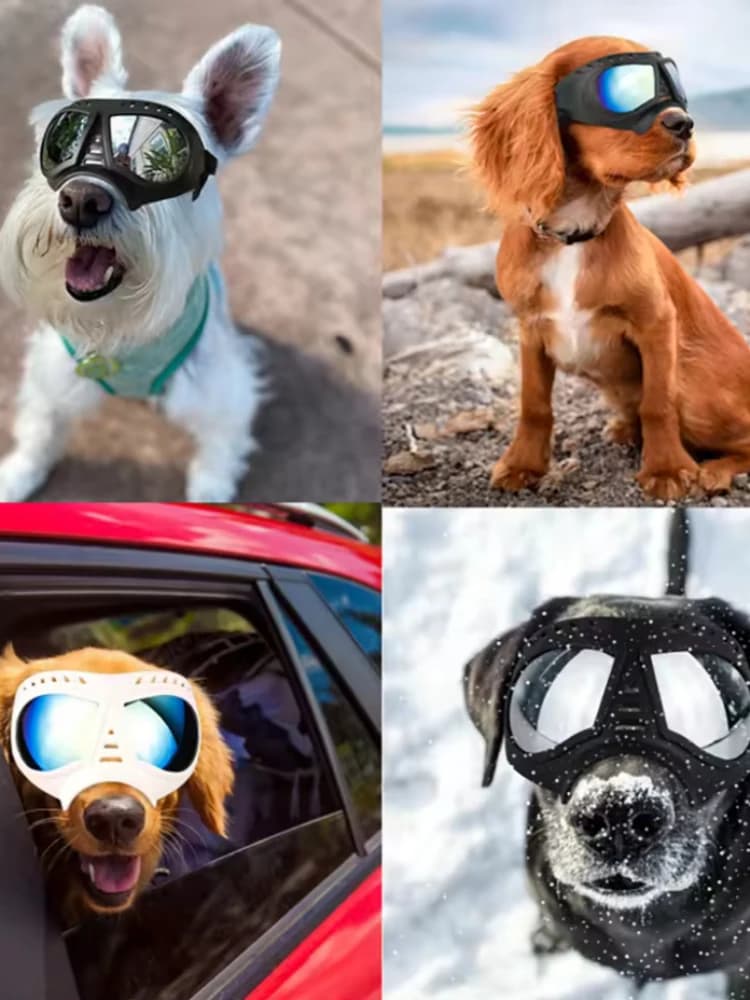 Sunglasses for cold dogs UV protection Windproof sunglasses Pet glasses Dog swimming glasses Pet accessories