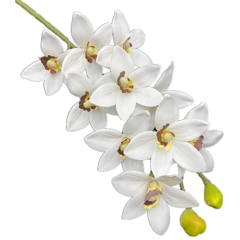 A real touch Cymbidium Hookerianum Branch of flowers with 10 heads long stem Artificial tropical tiger orchid plant Phalaenopsis