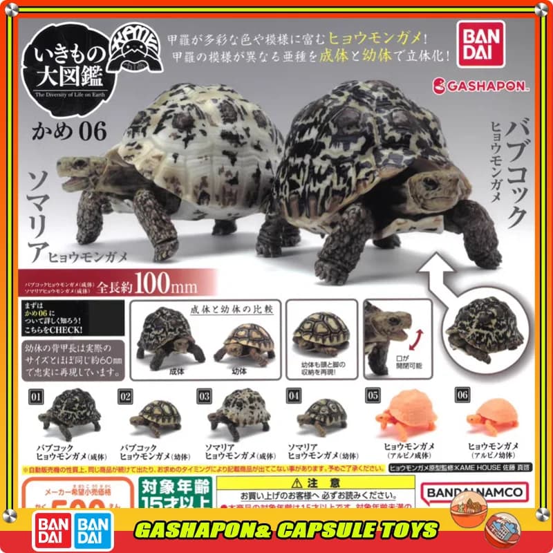 BANDAI Biological enciclopedia Action Figures modello anfibi leopardo tartaruga Gashapon ornamento genuino raccogliere ornamenti