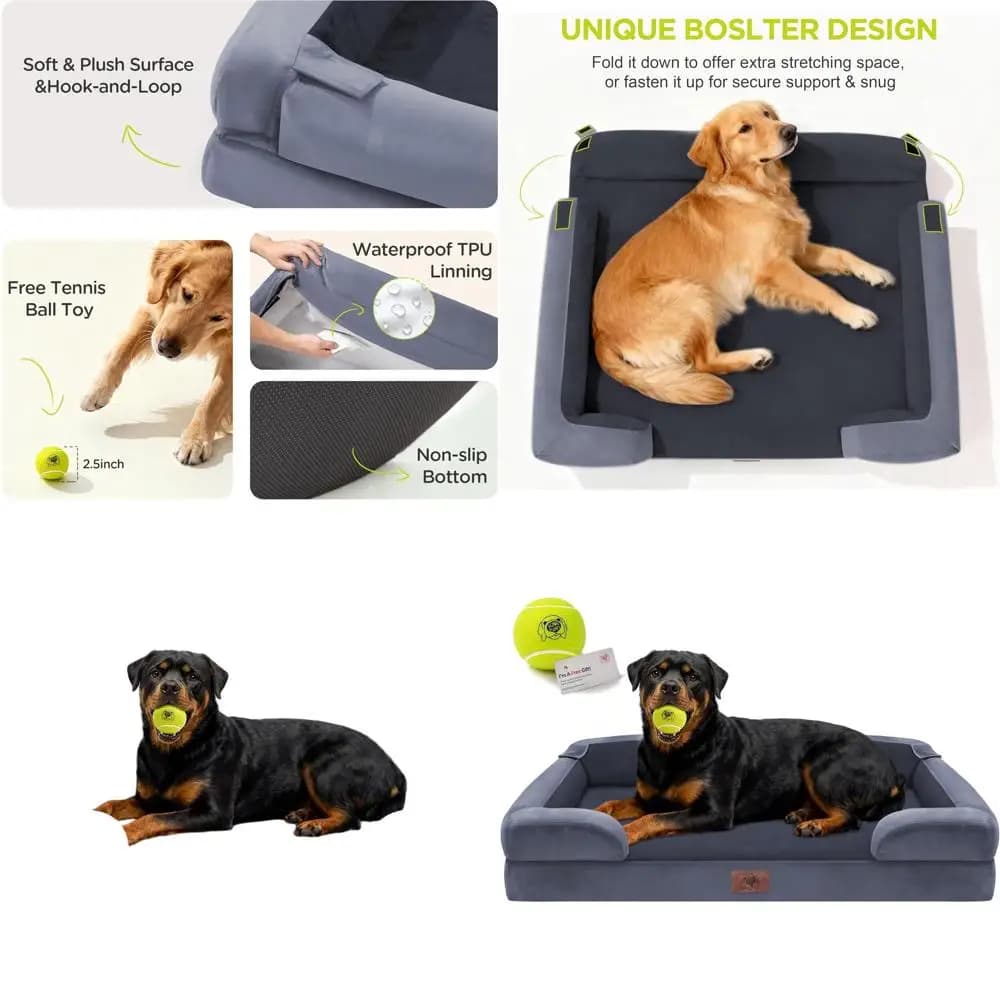 Cuccia Ortopedica XXL in Memory Foam per Cani con Rivestimento Rimovibile e Base Antiscivolo, 45x35, Giocattolo a Forma di Palla da Tennis Incluso