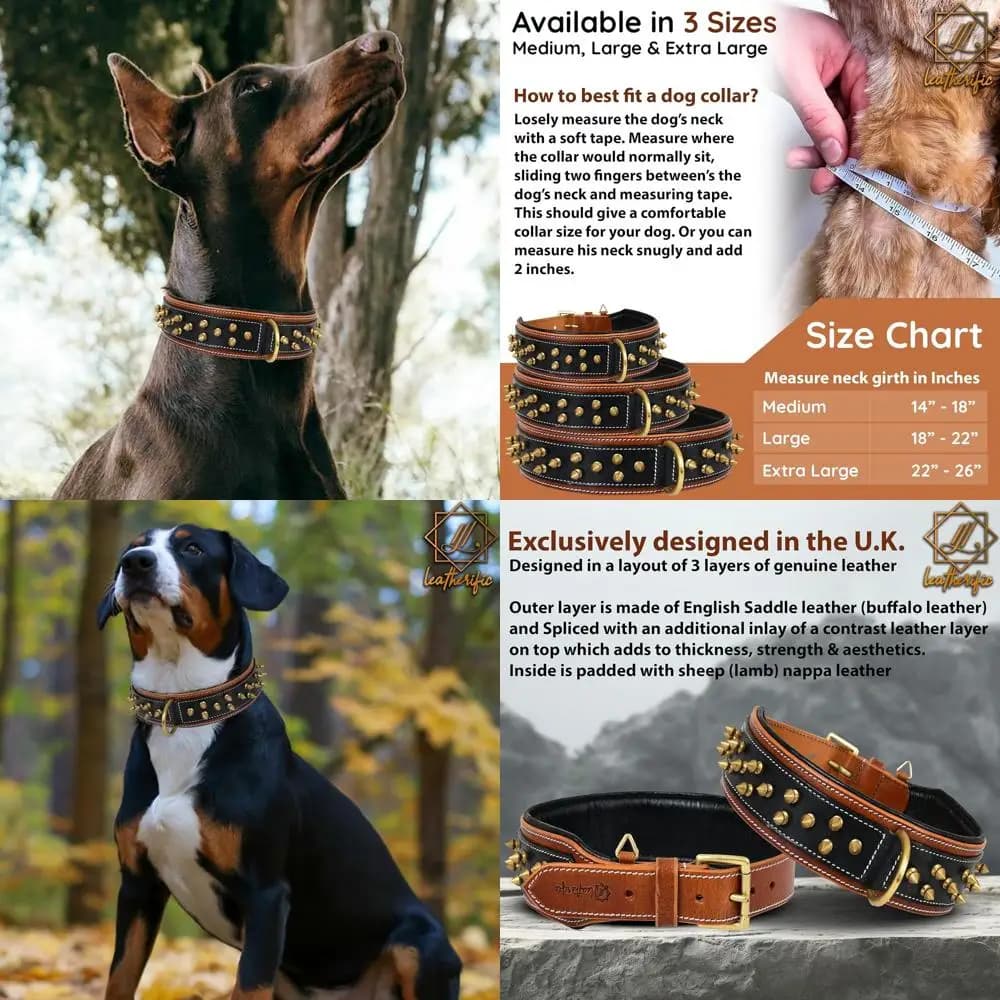 Collare per cani con punte in pelle resistente, imbottito e resistente, 2 larghi, XL, adatto a 22-26 colli, adatto per razze grandi e giganti, nero e