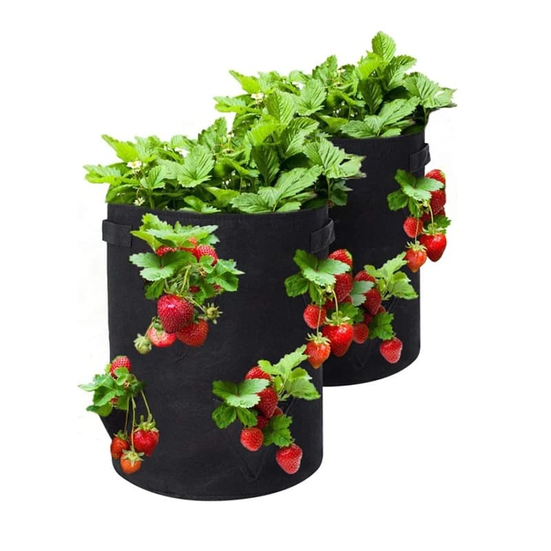 Grow Bags with Handle Thickened Growing Bag Foldable Breathable Vegetable Potatoes Flower Plant Pots Home Gardening Tools 1pcs