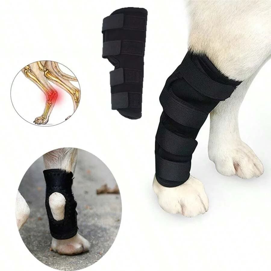 1 pz prevenire masticare leccare Hock Joint Arm Support tenere bende manicotto tutore per le gambe del cane per la protezione del recupero delle distorsioni del ginocchio dell'animale domestico