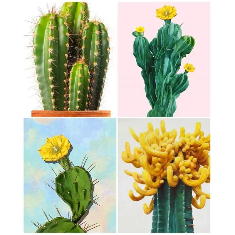 SDOYUNO Coloring By Numbers Succulent Still Life Acrylic Paint On Canvas Flowers Handpainted Craft Kits For Adults Drawn Home De