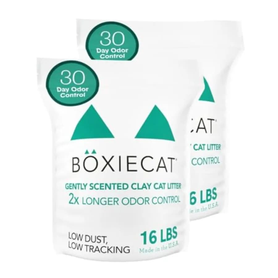 Lettiera per Gatti Agglomerante 32 libbre, Argilla Delicatamente Profumata, Controllo Odori per 30 Giorni, Confezione da 2