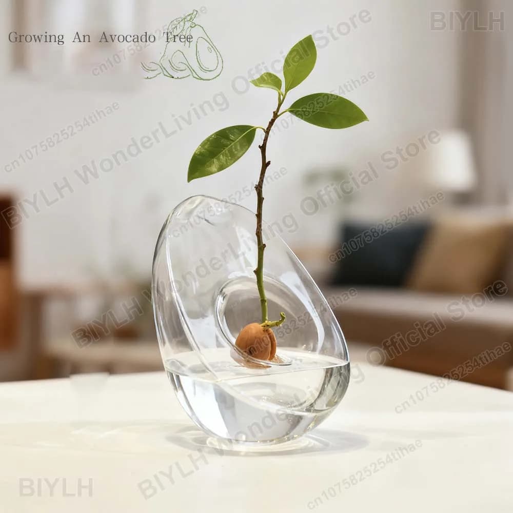 Hydroponic vase in the form of avocado, container for planting avocado seed and cultivation, pots and special vessels for seed gardening