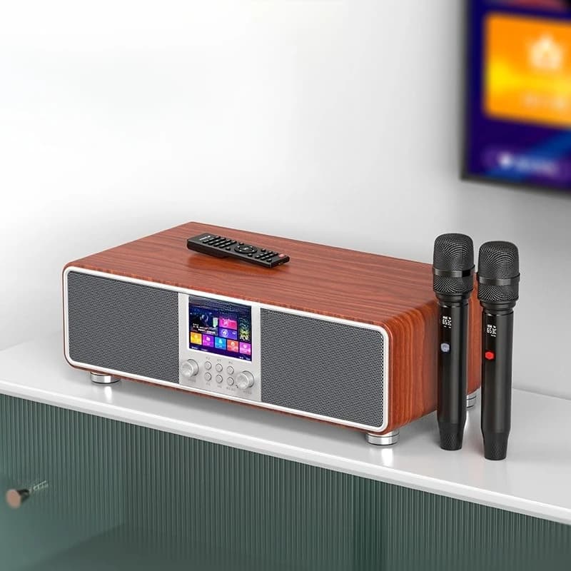 Set audio KTV, piccola macchina karaoke Bluetooth all-in-one