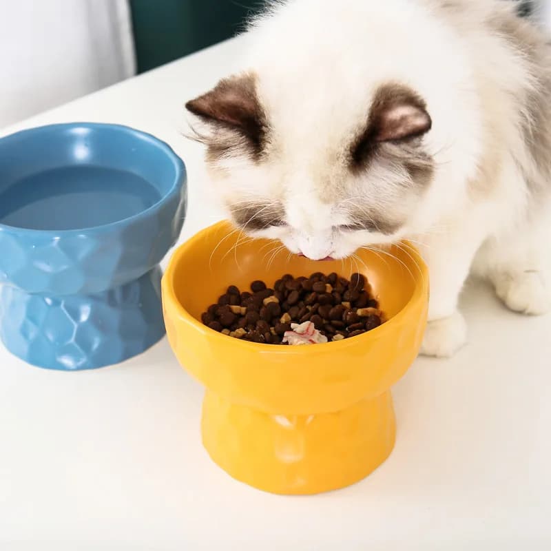 Simpatica ciotola in ceramica per animali domestici, cibo, bevande, mangiatoia per acqua, piede alto, protegge la colonna vertebrale cervicale, previene ribaltare per gatti e cani di piccola taglia