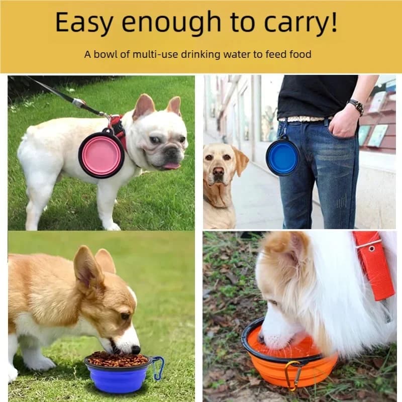 Ciotola portatile pieghevole in silicone 2 in 1 per cani e gatti, contenitore per cibo e acqua, mangiatoia da viaggio per esterni con moschettone