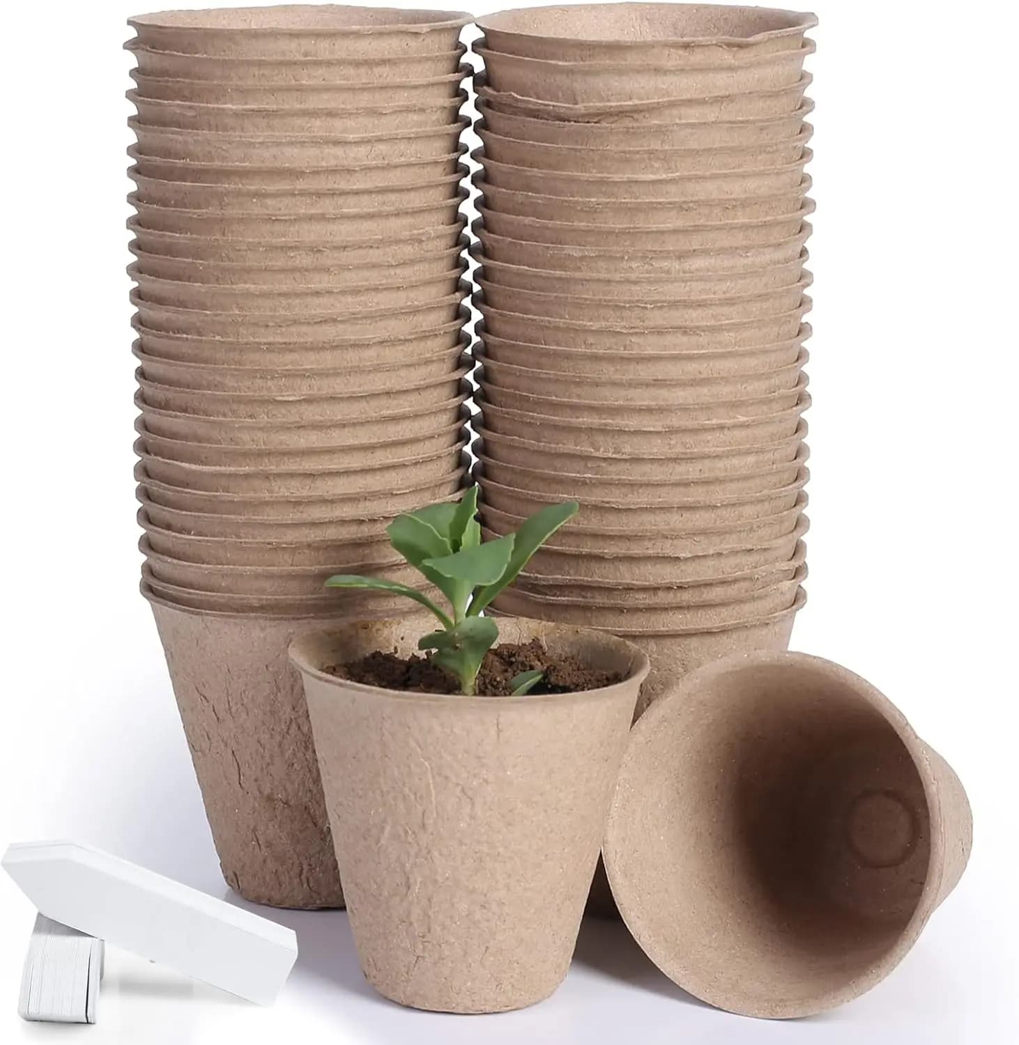 Pack of 50 Biodegradable Vases in Torba from 3,15 Inches with Labels for Plants, Kit for Semina and Open Germination
