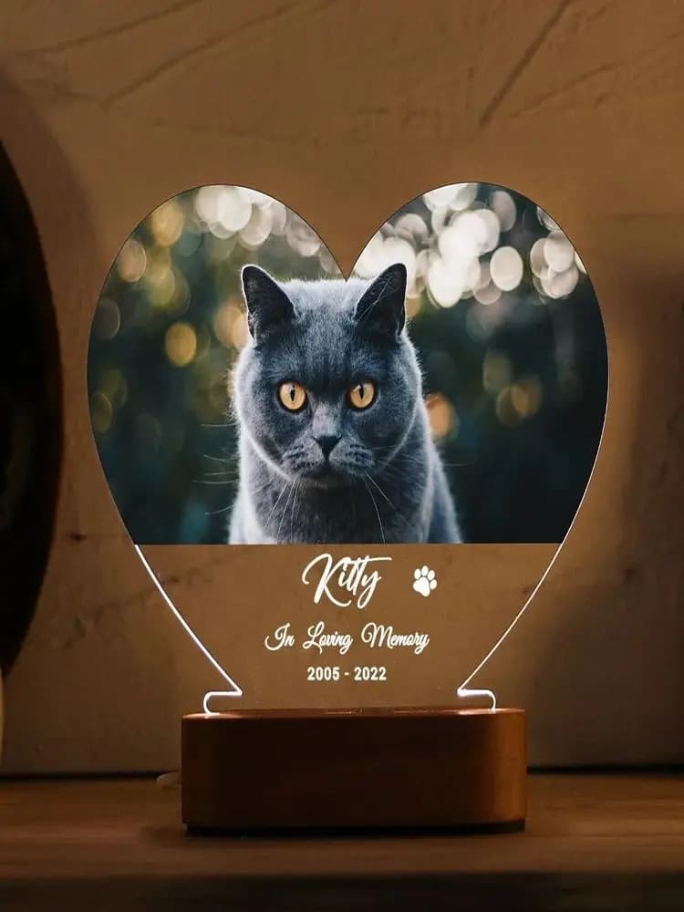 Luce Notturna Personalizzata con Foto di Animali Domestici, Base in Legno, LED a Luce Soffusa, Regalo Commemorativo per Cani, Dono di Condoglianze per Amanti degli Animali