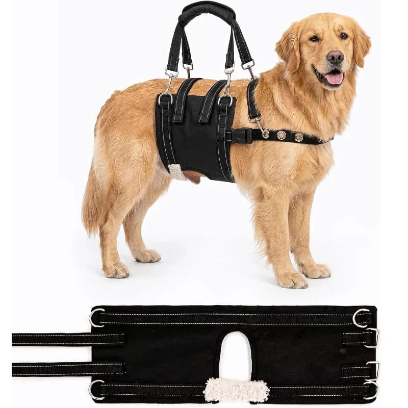 Disabled Dog Assisted Large Dog Clip Cotton for Walking Elderly Dog Assisted Walking Up and Down Stairs