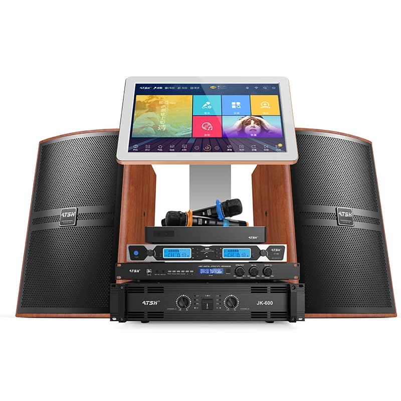 Z6 Set di altoparlanti KTV da 10" e 12" con amplificatore per microfono wireless Macchina per karaoke Sistema karaoke professionale