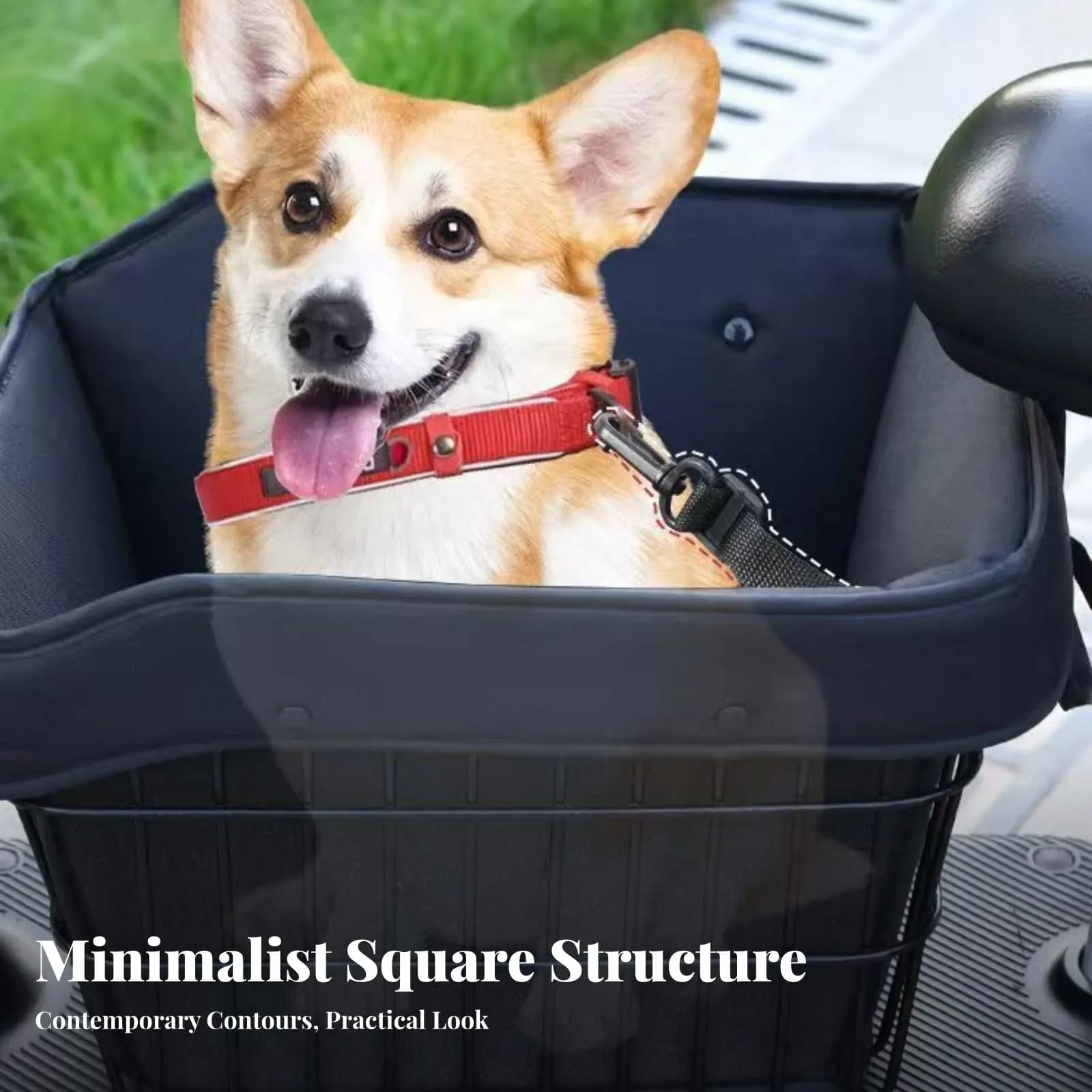 Front Cycle Pet Basket Strong-Duty Steel Frame Front Mount Pet Basket Bike Dog Carrier Quick Release Small Dog Bike Seat