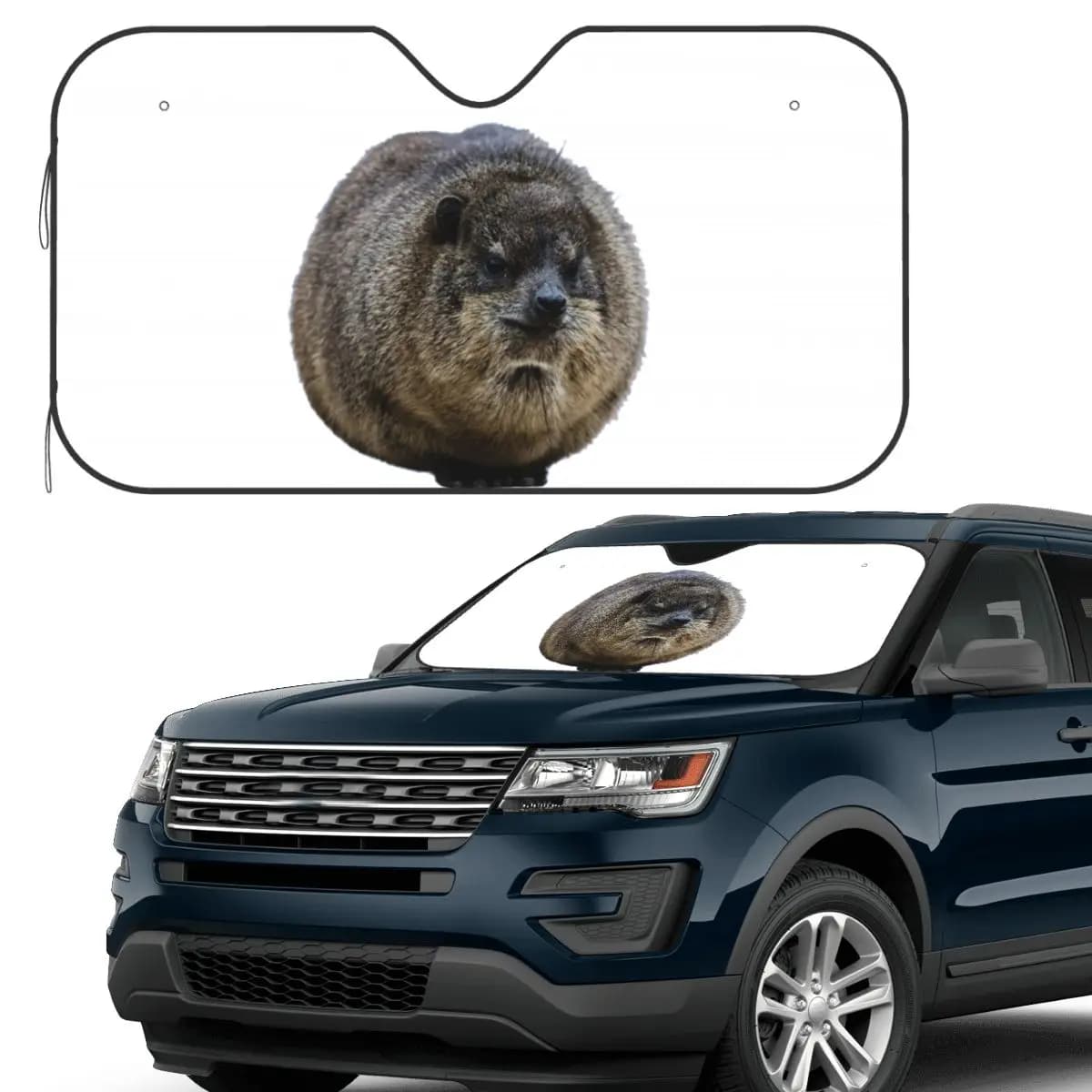 Hyrax Coquette o Croquette Parasole Parabrezza Auto Parabrezza Anteriore Finestra Parasole Accessori Coperture