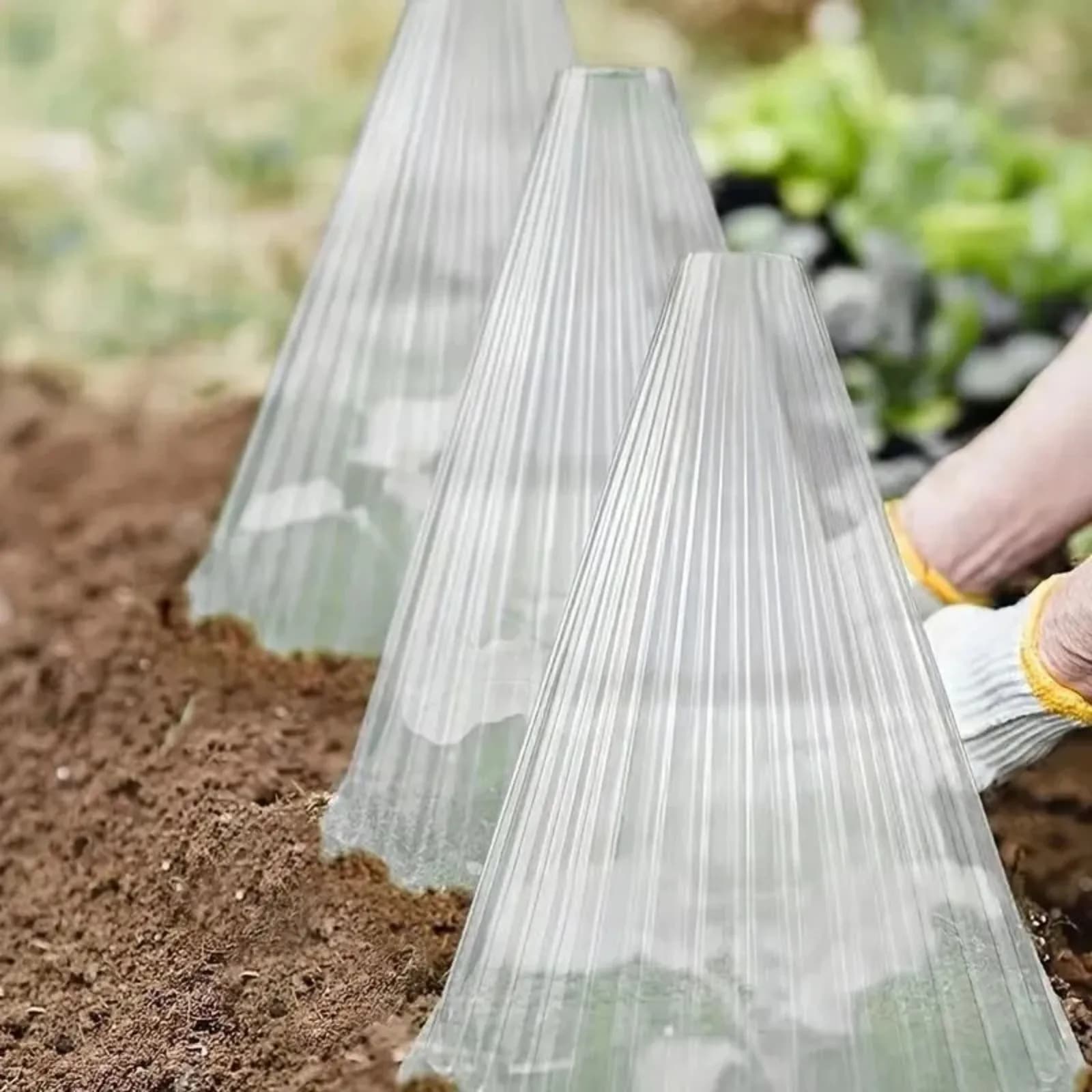 10pcs Seedling Protective Cover Growth Box Planting Tent Plant Clock Cover To Protect Plants From Bird Frost And Snail Damage