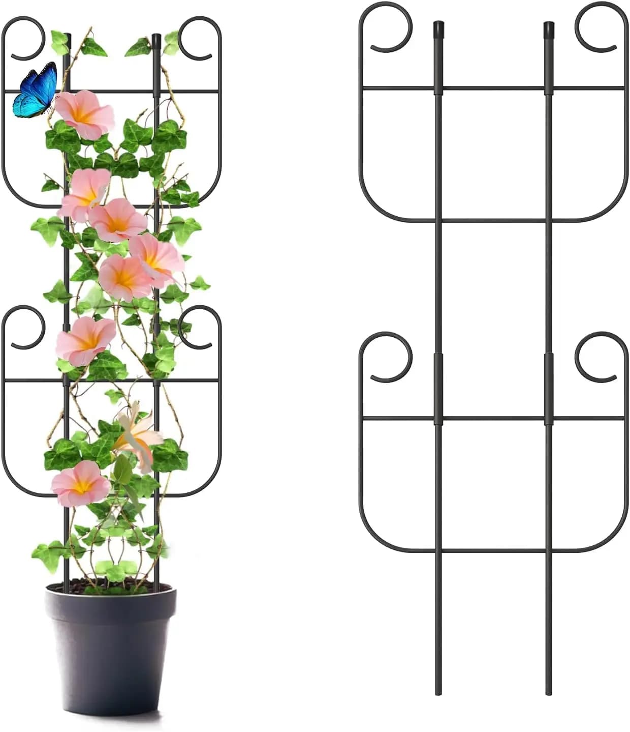 Traliccio Metallico Espandibile per Piante Rampicanti, Supporto Robusto per Fiori di Pothos e Edera in Vaso da Interno