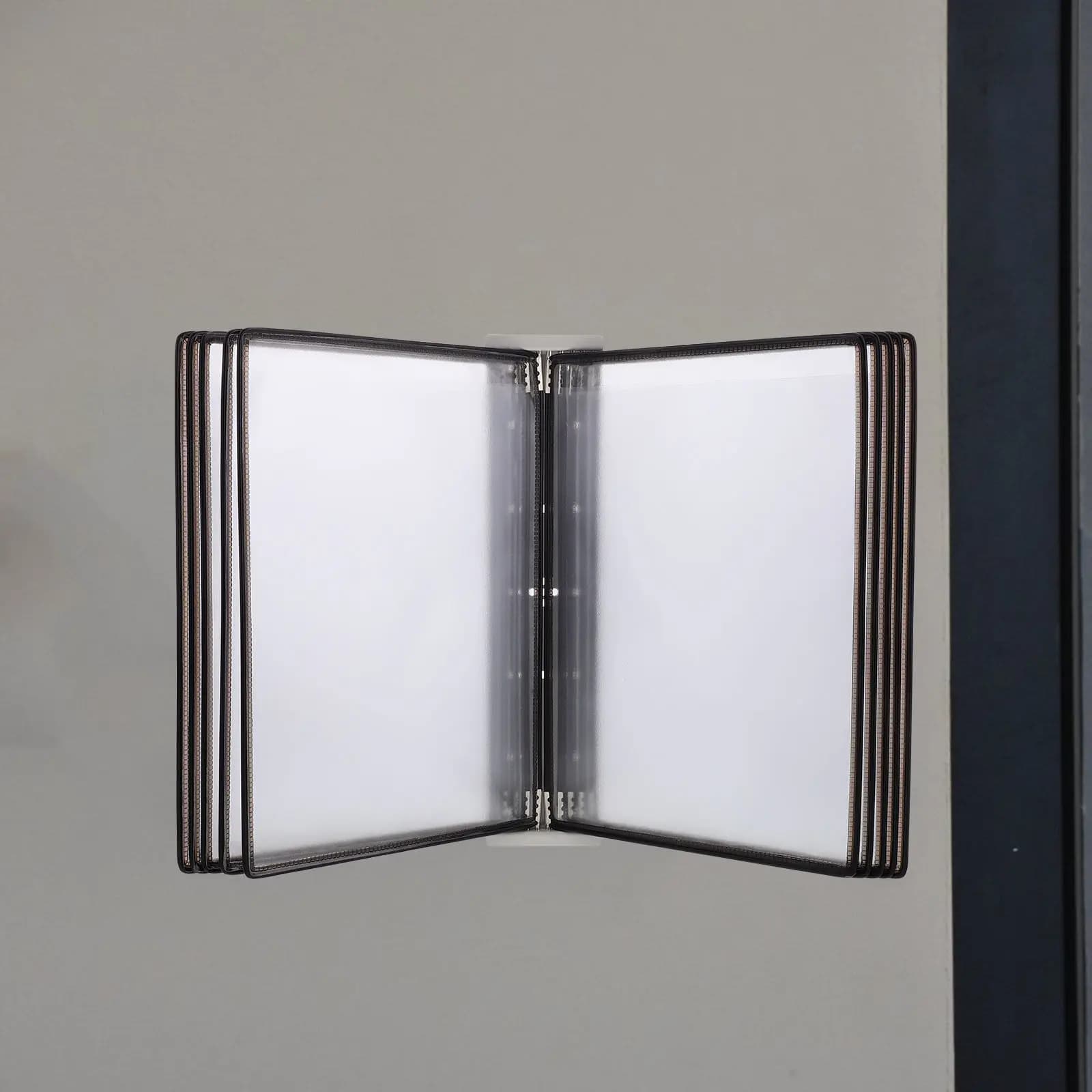 Organizzatore per Documenti da Appendere, Porta Fogli A4 in PVC, Espositore a Parete con 10 Tasche, Porta Documenti per Ufficio