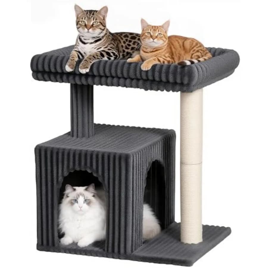 Albero per gatti di grandi dimensioni 20.9x15.7in, Lettino per gatti adulti 22.8in, Torre per gatti con tiragraffi e 2 porte