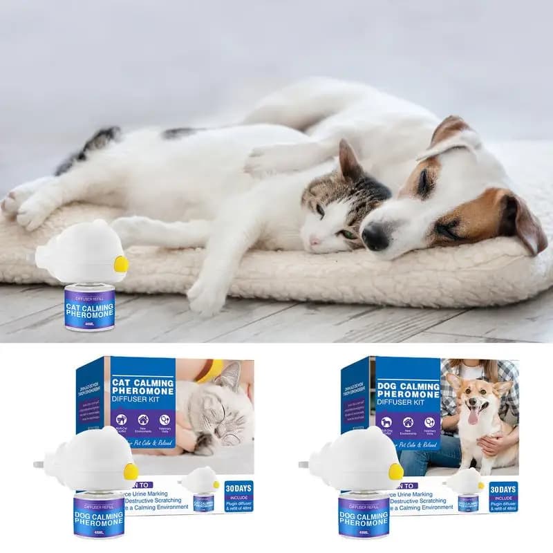 Pet feromoni diffusore calmante ricarica da 30 giorni Spray calmante per cane gatto calma rilassante animali domestici feromone Plug-In Relaxants Start Kit