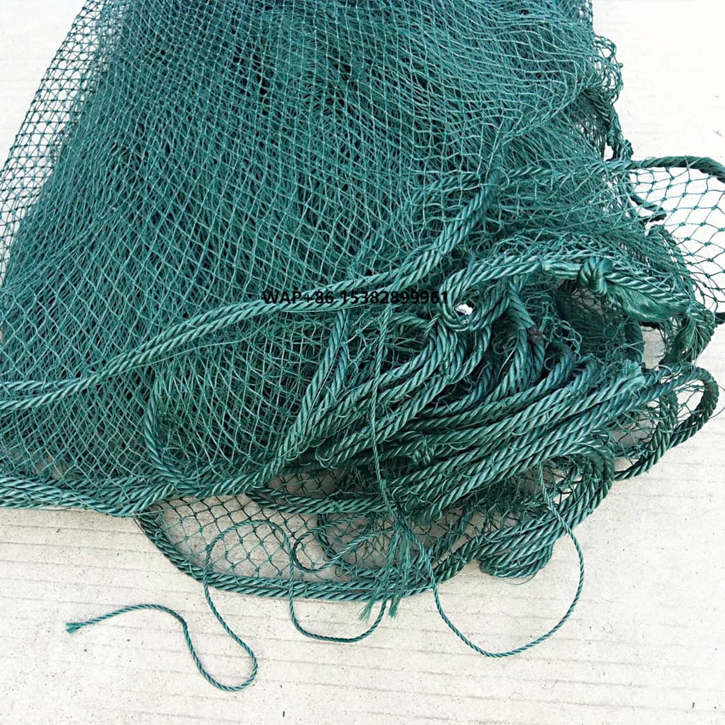 Reti da Traino o Reti a Strascico per la Pesca di Pesci Piccoli in Fiumi e Zone Marittime Vicine, per la Cattura a Bordo di Imbarcazioni