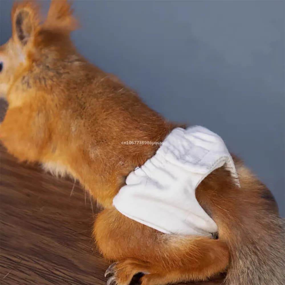 Pannolini per scoiattolo Pannolini per mestruazioni per animali domestici traspiranti a prova di perdite Mutandine per mestruazioni regolabili per criceti Marmotta Articoli per animali domestici