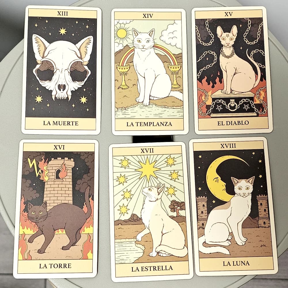 Gatti governano il mazzo da 78 carte dei tarocchi terrestri per l'edizione spagnola Feline-Obsessed 10,3 * 6 cm