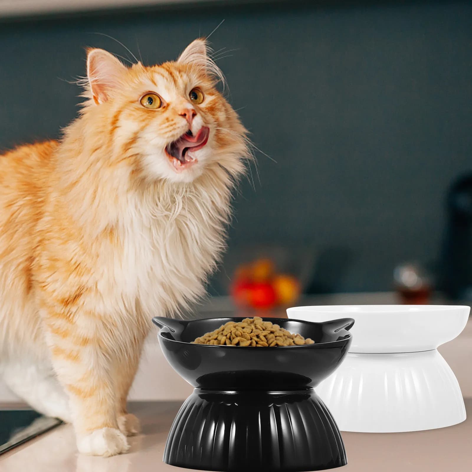 2 Set di Ciotole per Gatti in Ceramica, Ciotola Rialzata per Alimenti, Superficie Liscia Facile da Pulire, Ciotole per Cibo e Acqua per il Comfort degli Animali Domestici
