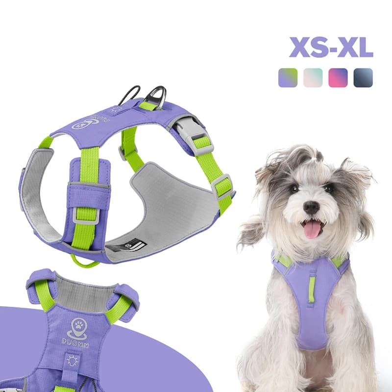 Petto leggero per cani con cinturino riflettente Cintura pettorale per cani da esterno Trazione per animali domestici Imbracature antiscivolo traspiranti ad asciugatura rapida