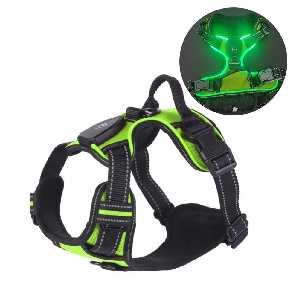 Pettorina per Cani LED Luminosa e Resistente, Regolabile, con Cinturino Toracico Lampeggiante, Collare Imbottito Morbido, Gilet Luminoso per Passeggiate Notturne