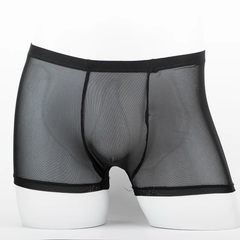 Intimo da uomo Boxer trasparenti Rigonfiamento Seta ghiacciata Vedi attraverso le mutande Slip sexy Mutandine a vita bassa Lingerie Intimo