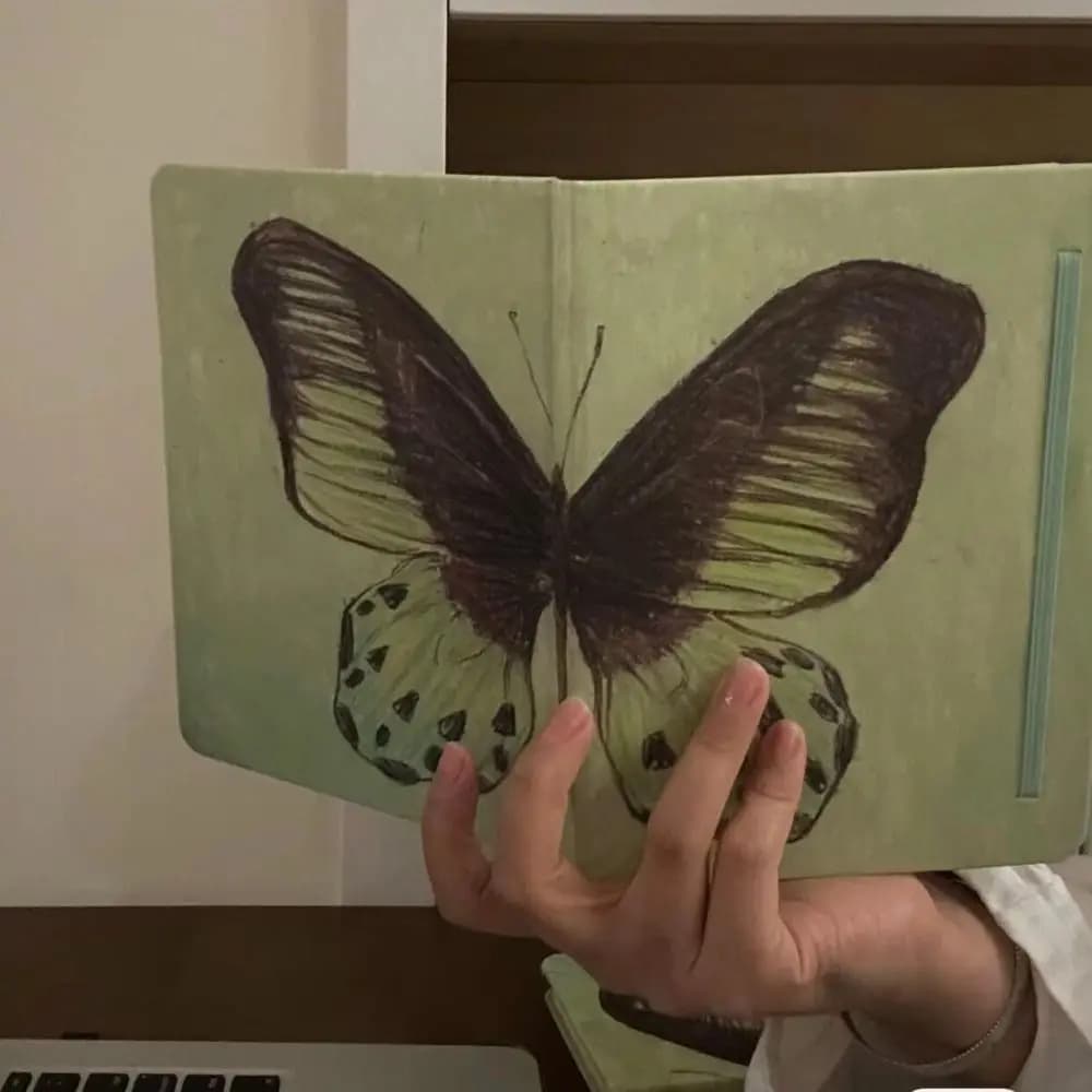 Quaderno A5 con pagine bianche, 80 fogli, taccuino per schizzi, quaderno con farfalle, diario verde menta per studenti, agenda giornaliera, articoli scolastici
