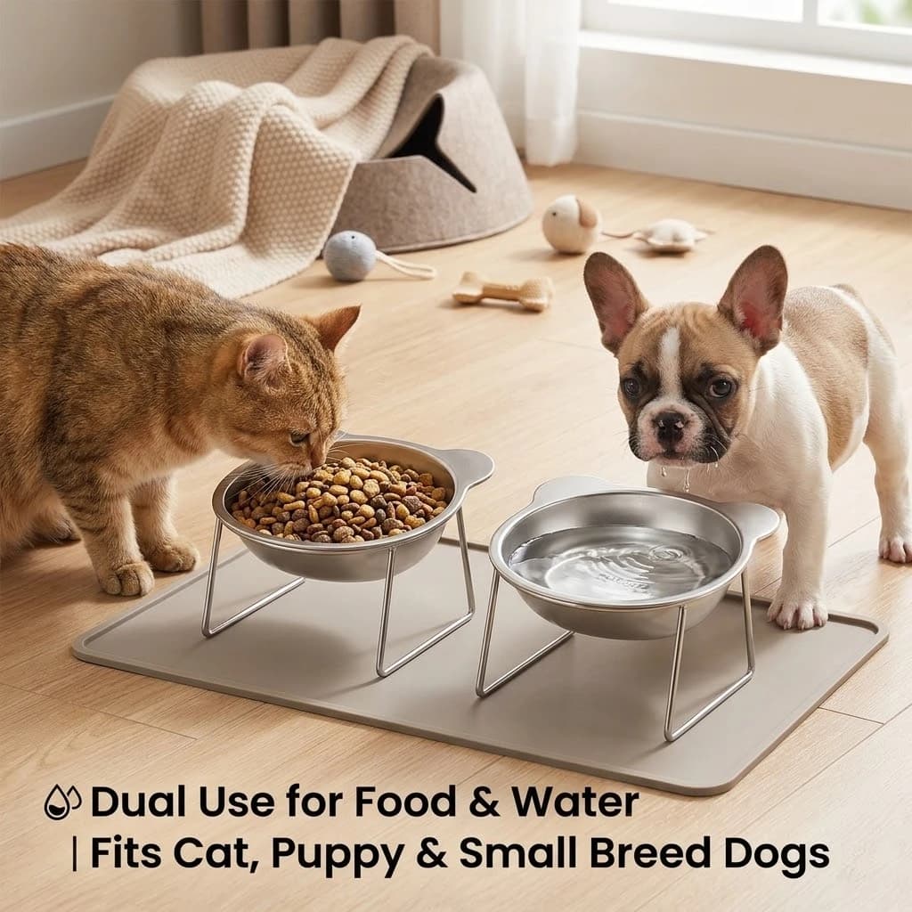 Elevated 304 Stainless Steel Cat Bowl 15° Tilt Neck Protection Feeder Anti-Slip Stand Pet Food Water Bowl For Kitten Small Dogs