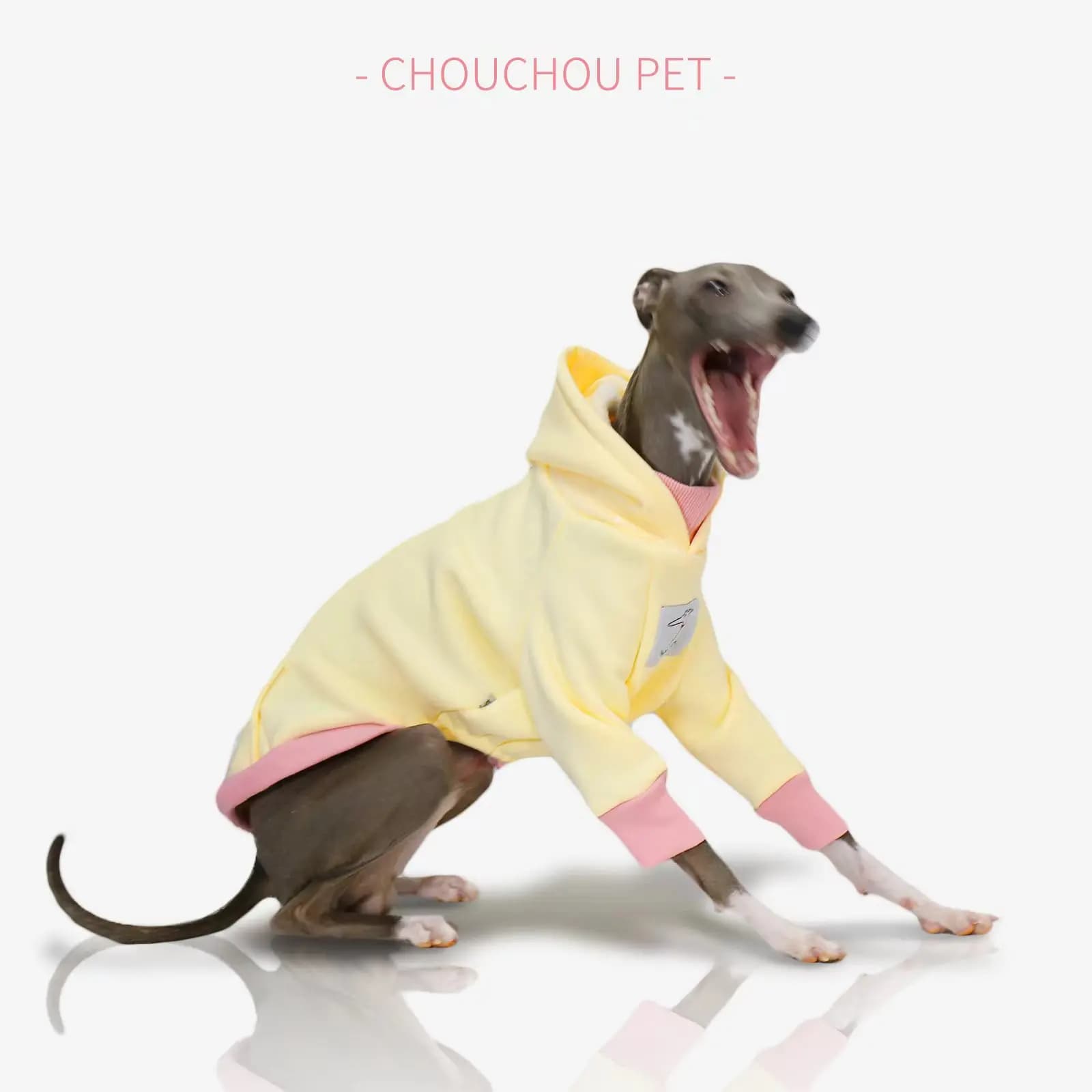 Nuova felpa per animali domestici con cappuccio primaverile Cappotto iggy italiano Felpa Whippet adatta per cani di piccola e media taglia