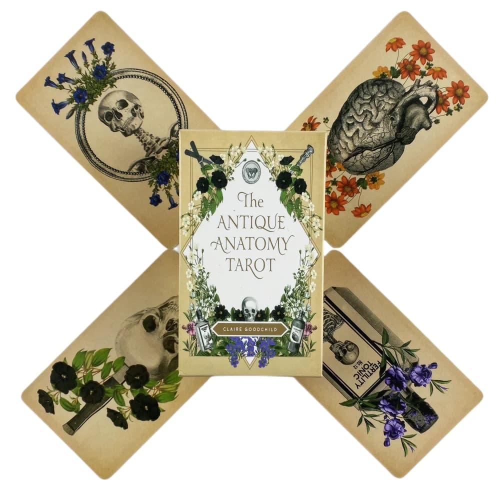 The Antique Anatomy tarocchi A 78 Deck Oracle English Visions divinazione Edition Borad Playing Games