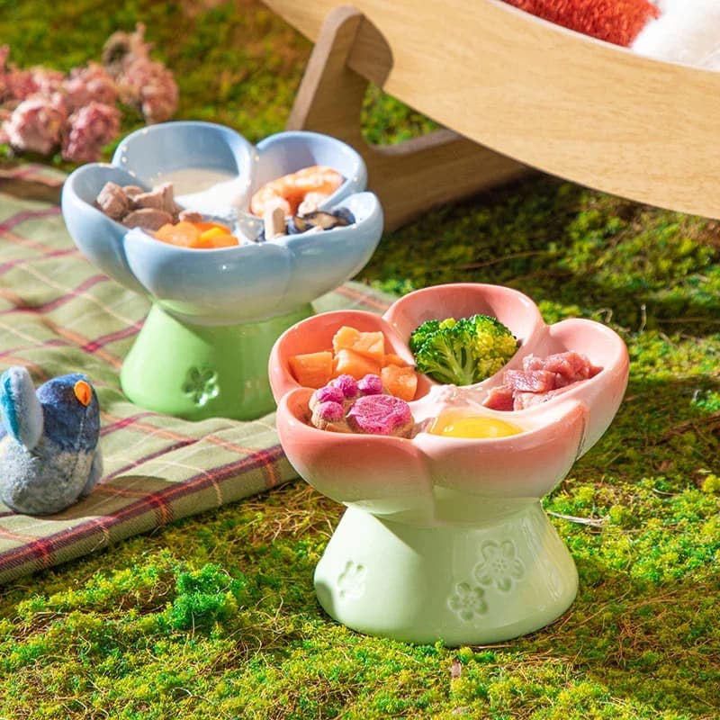 Elevated Ceramic Pet Bowl with 15° Tilt, Non-Slip Base, Partitioned Design for Snacks & Food, Suitable for Cats and Small Dogs