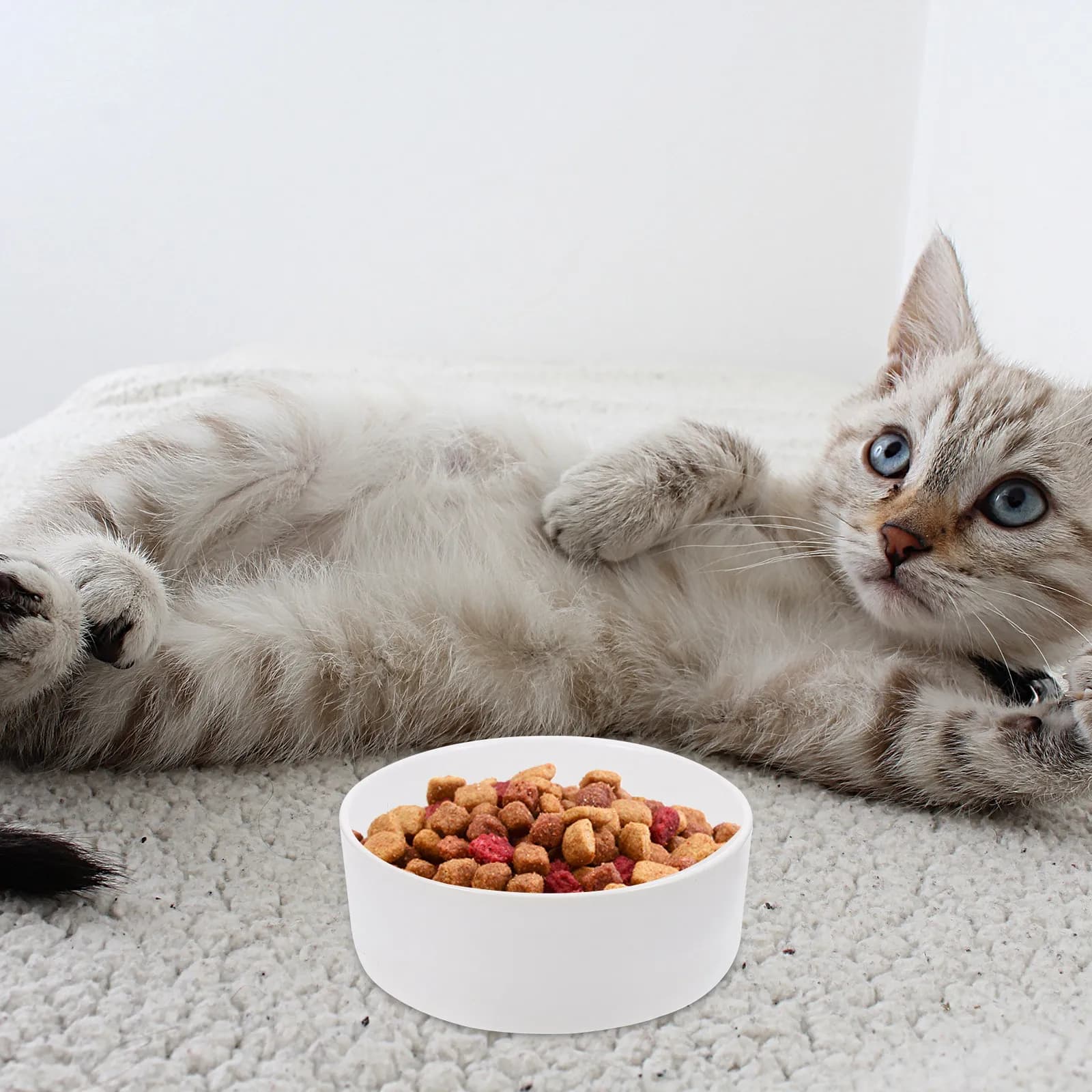 1Set Ceramic Cat Bowl Elevated Wooden Stand Feeding Dish Raised Pet Feeder Food Water Bowl for Cats Prevent Tipping Reduce Food