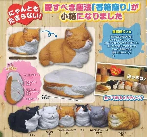 Sleepy Cat Gashapon Figures Cream Orange Black Calico Persian Napping Rest Pose Desktop Ornaments For Cat Lovers Collectors